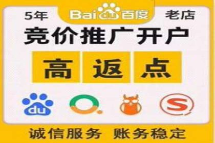 某企业通过百度广告实现品牌提升的历程